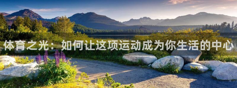 678体育app：体育之光：如何让这项运动成为你生活的中心