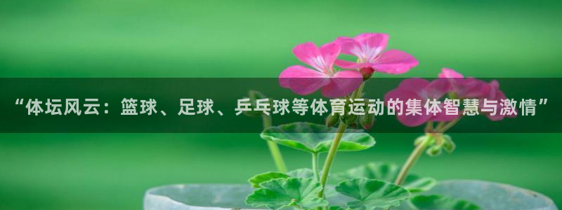 678体育官网下载：“体坛风云：篮球、足球、乒乓球等体育运动的集体智慧与激情”