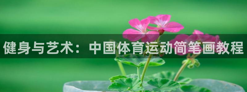678体育app：健身与艺术：中国体育运动简笔画教程