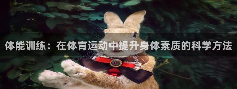 678体育：体能训练：在体育运动中提升身体素质的科学方法