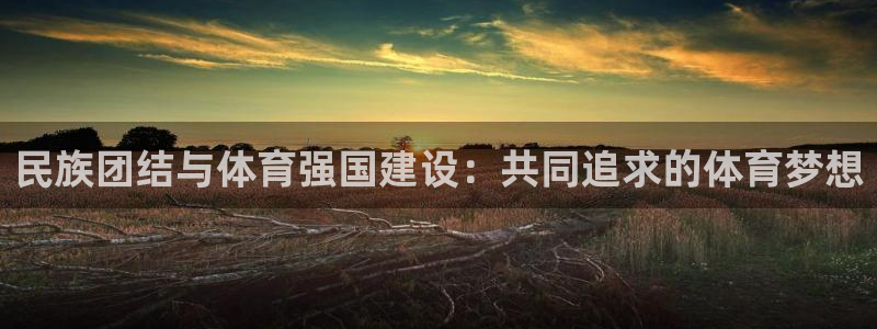 678体育知识：民族团结与体育强国建设：共同追求的体育梦想