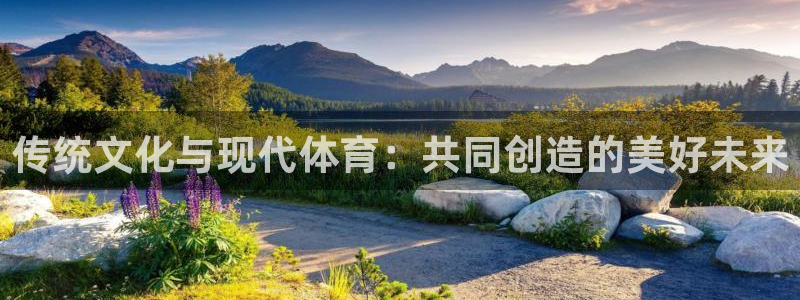 678体育知识