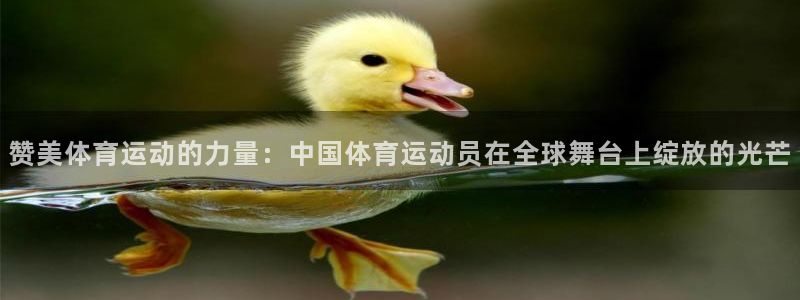 678体育：赞美体育运动的力量：中国体育运动员在全球舞台上绽放的光芒